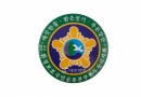 9. 버튼